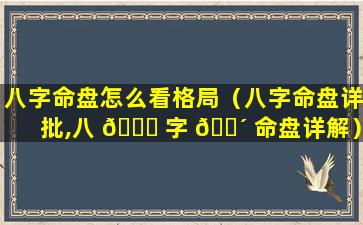 八字命盘怎么看格局（八字命盘详批,八 🐅 字 🌴 命盘详解）